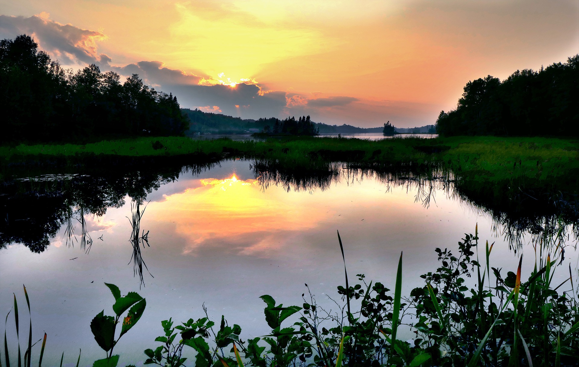 What Are You Going to Do?